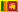 language