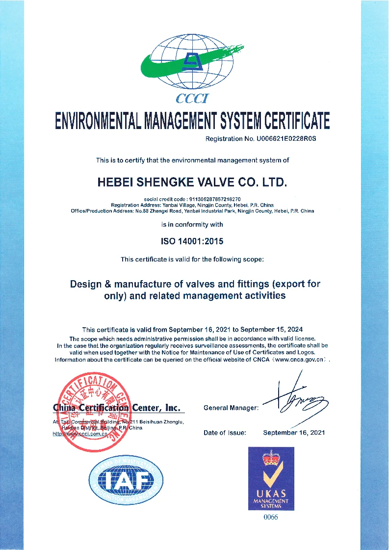 socket and resilient seat gate valve
