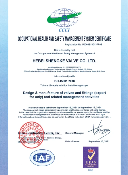ISO 45001