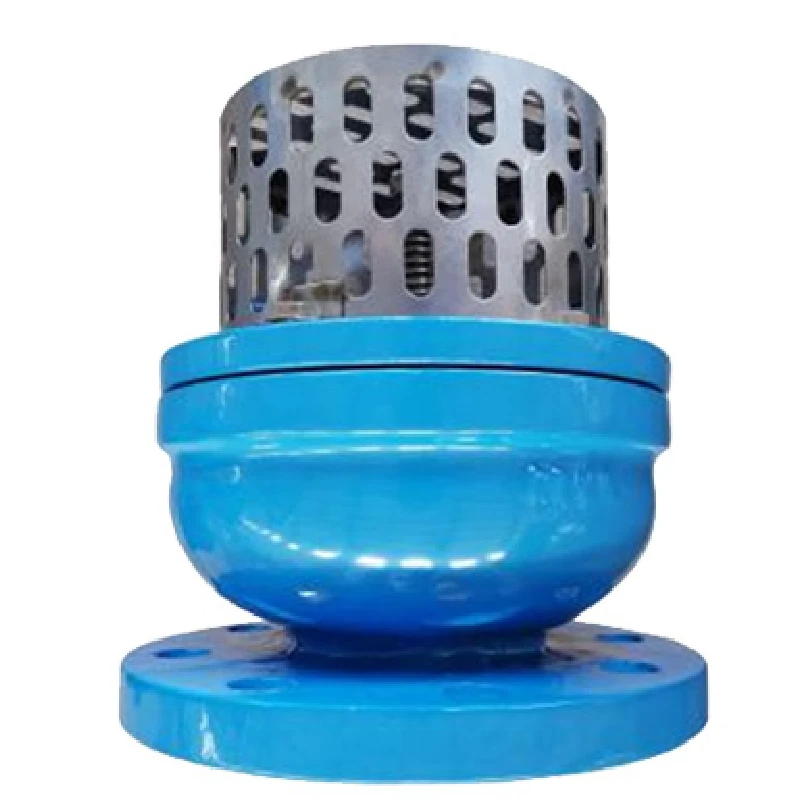 Foot Valve for Residential Applications