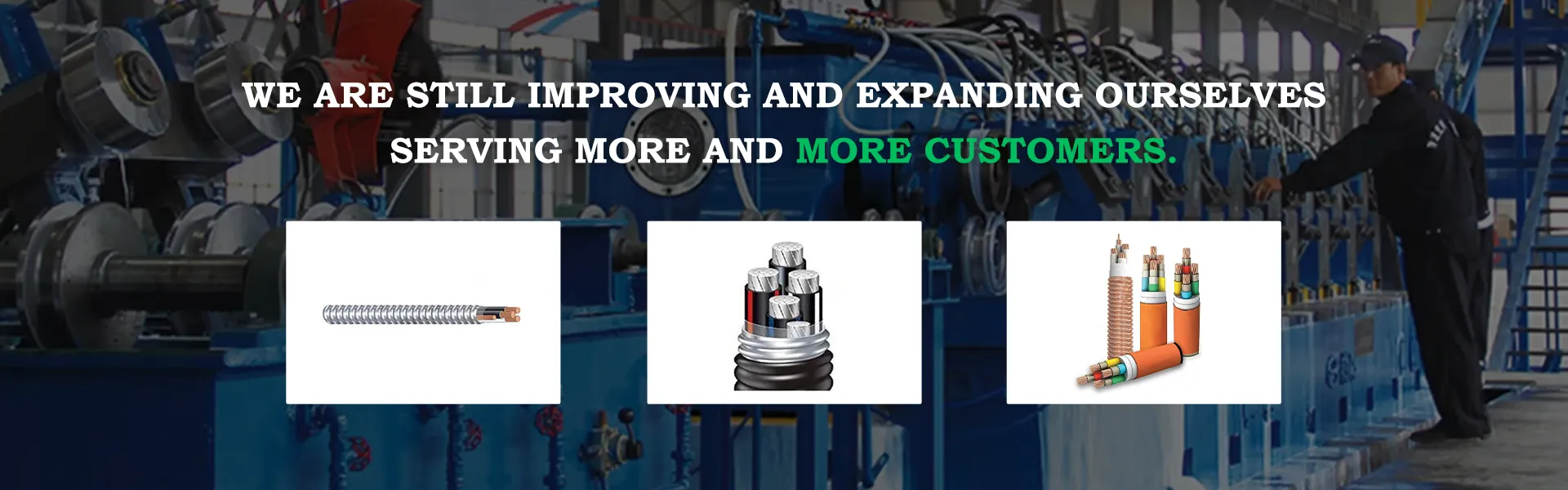 Read More About dual plate check valve manufacturer