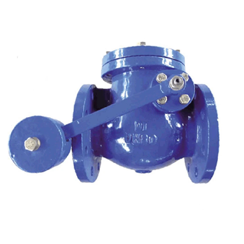 Quality and Reliability with Swing Check Valves