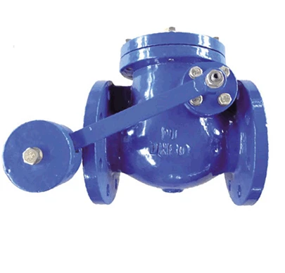 Superior Performance with Industrial Swing Check Valve: The Essential Valve for Any System