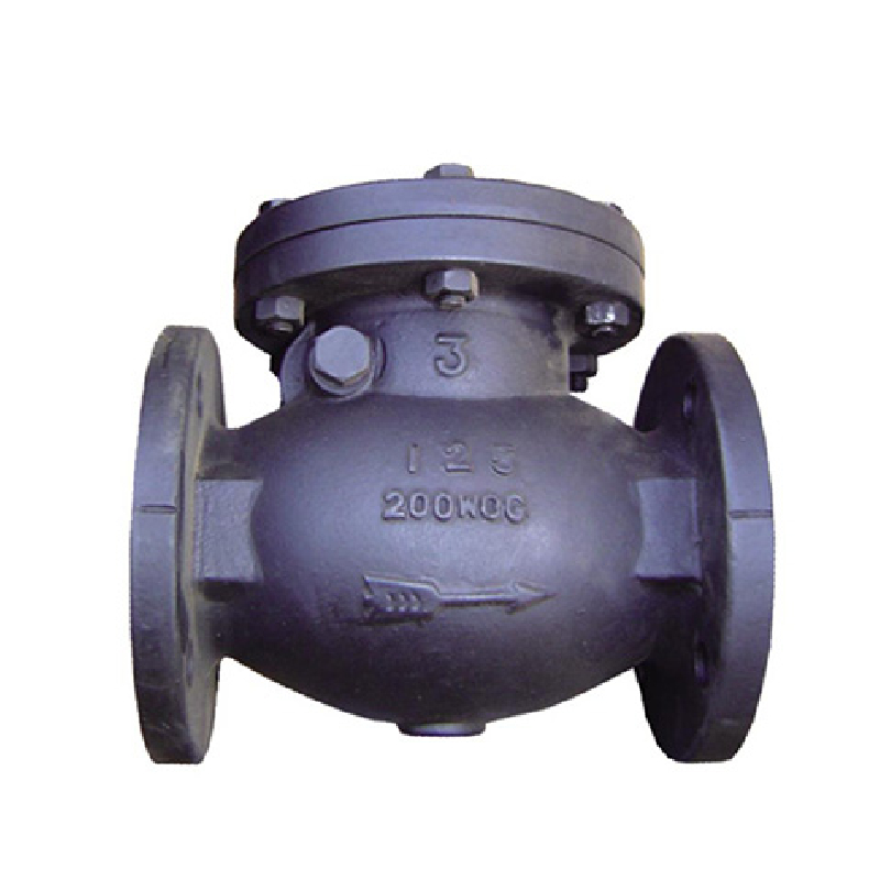 MSS Steel Check Valve