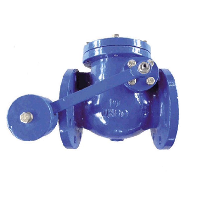 DIN Swing Check Valve
