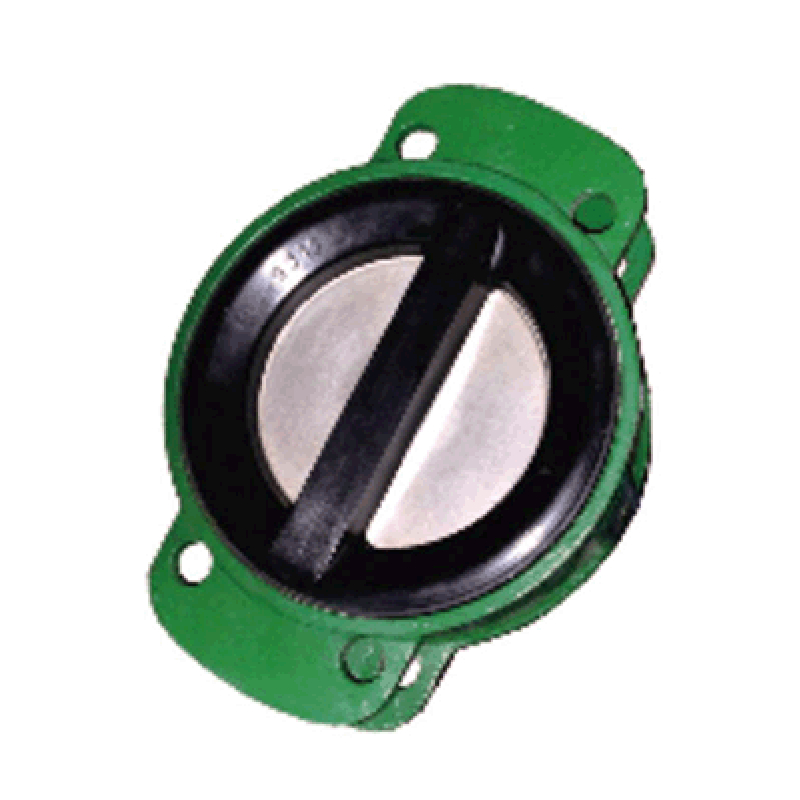 Lined check valve
