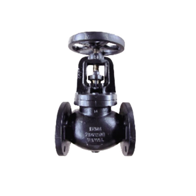  MSS Globe Valve