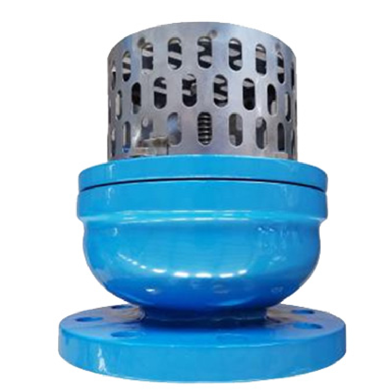 Foot Valve