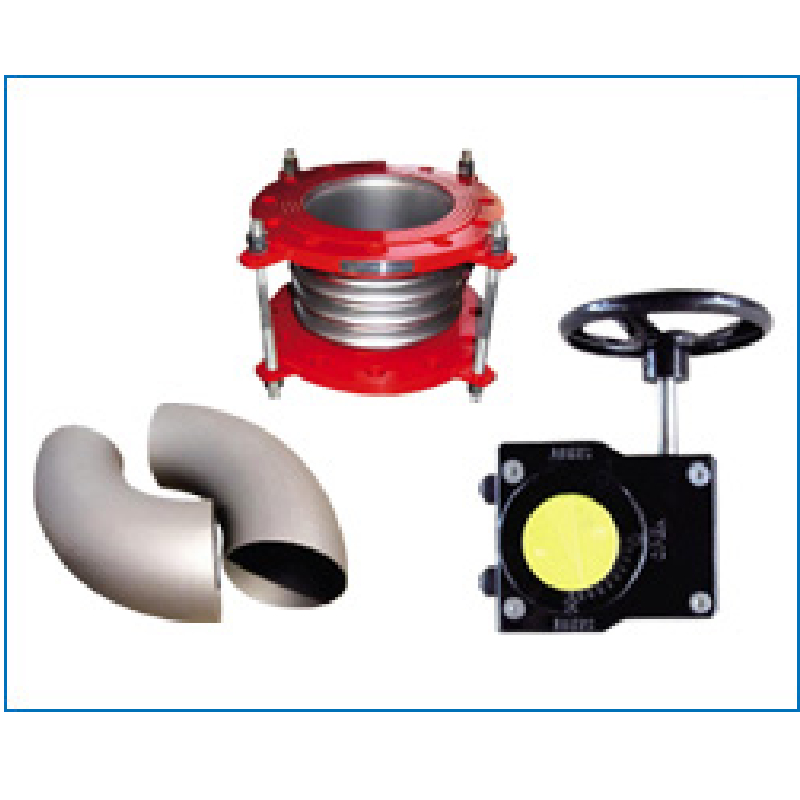 double ball check valve