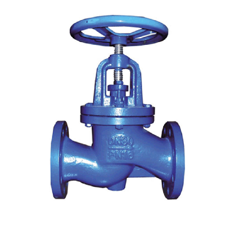DIN Globe Valve