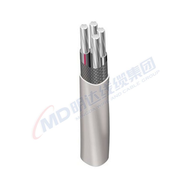 non return swing check valve