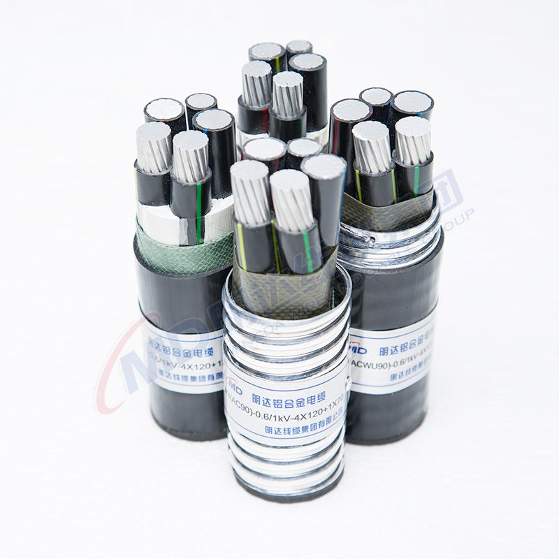 ball type foot valve