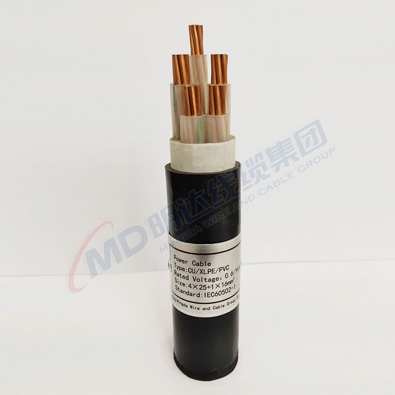 ball type foot valve