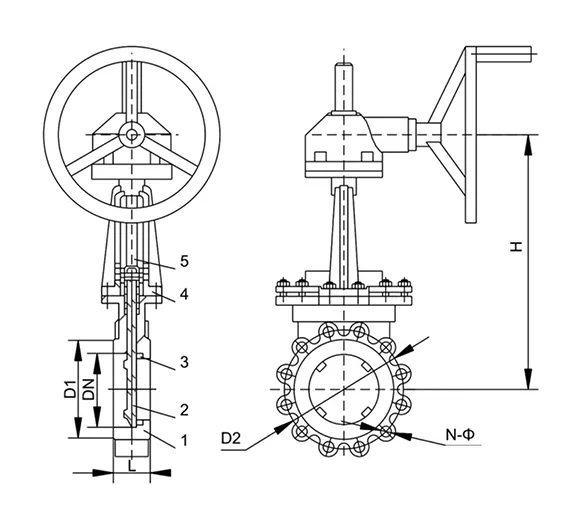 double ball check valve