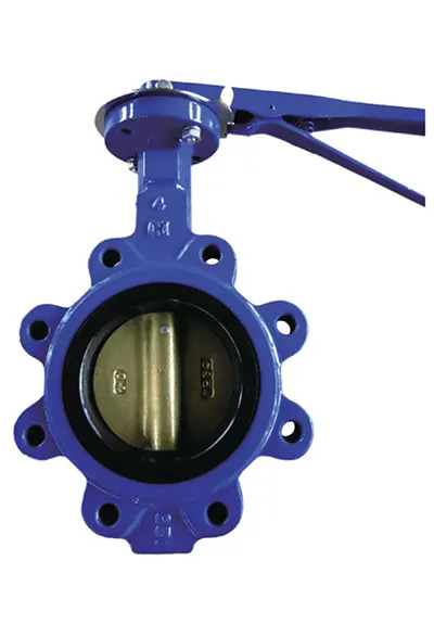 globe check valve