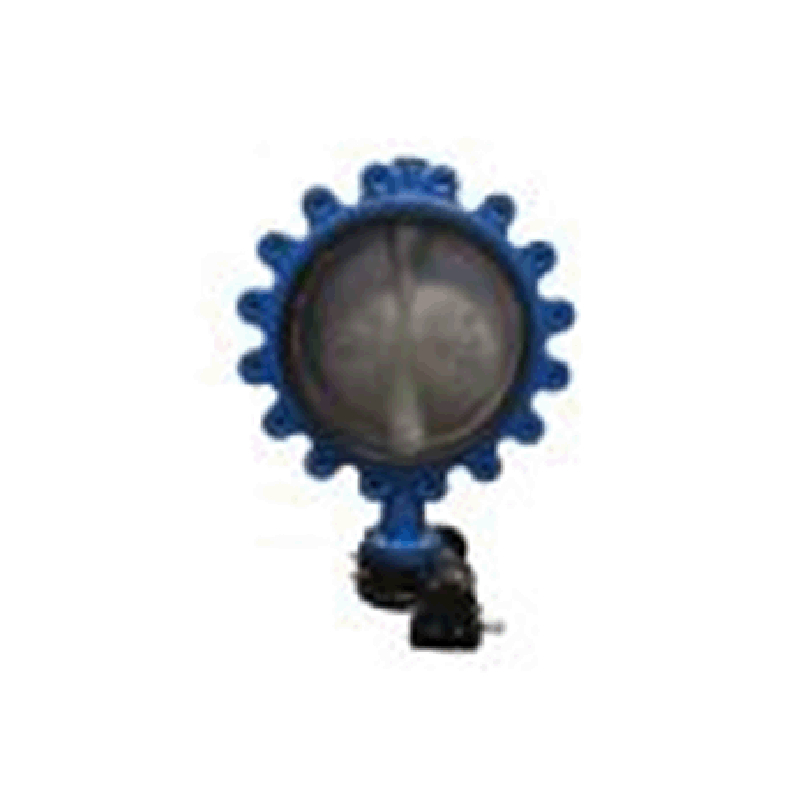 swing check valve 6 inch