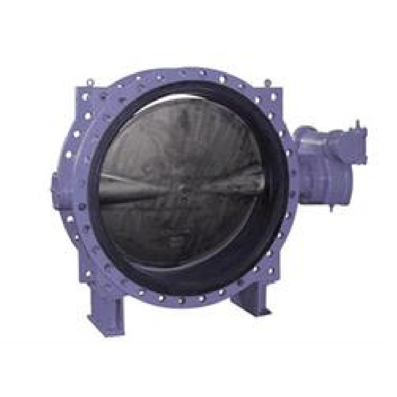 double swing check valve