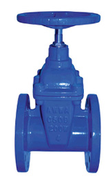 rising stem gate valve