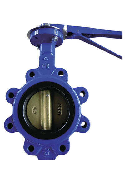 gate valve nrs