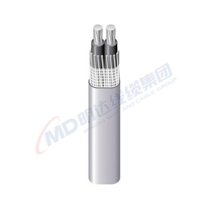 di foot valve