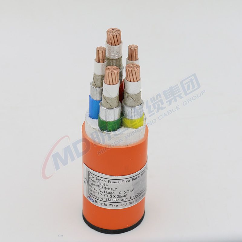 Control Check Valve