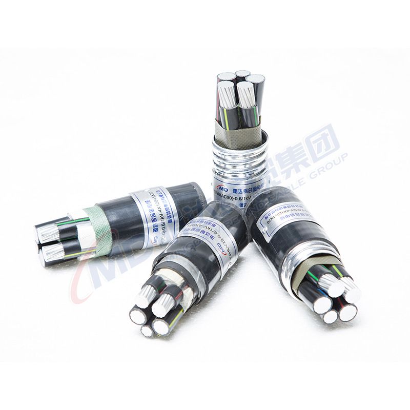 water swing check valve
