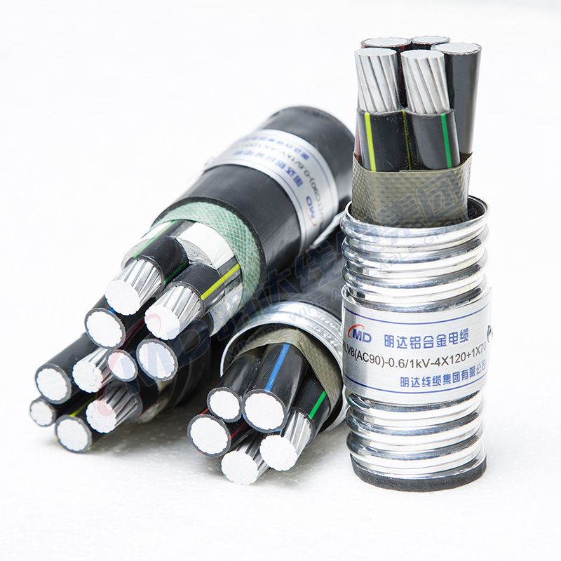 wafer style check valve