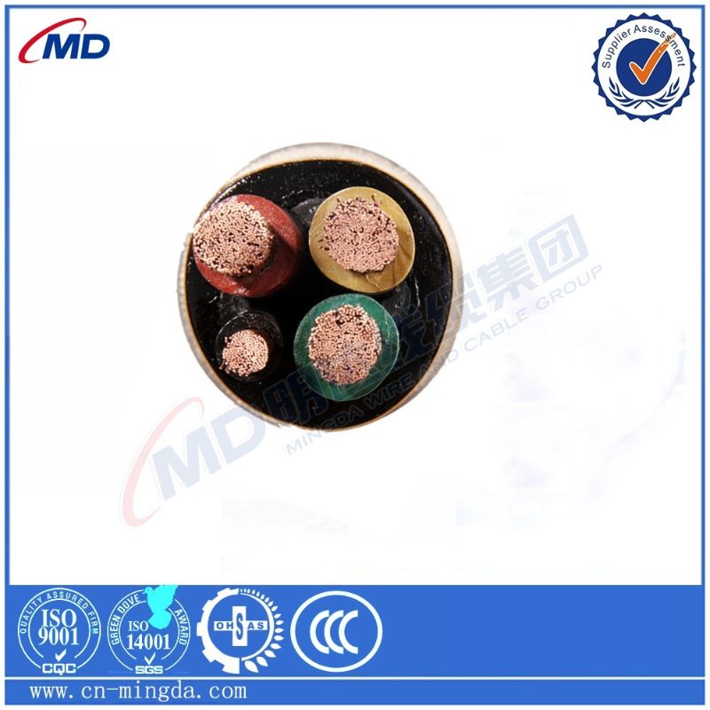 foot valve with strainer